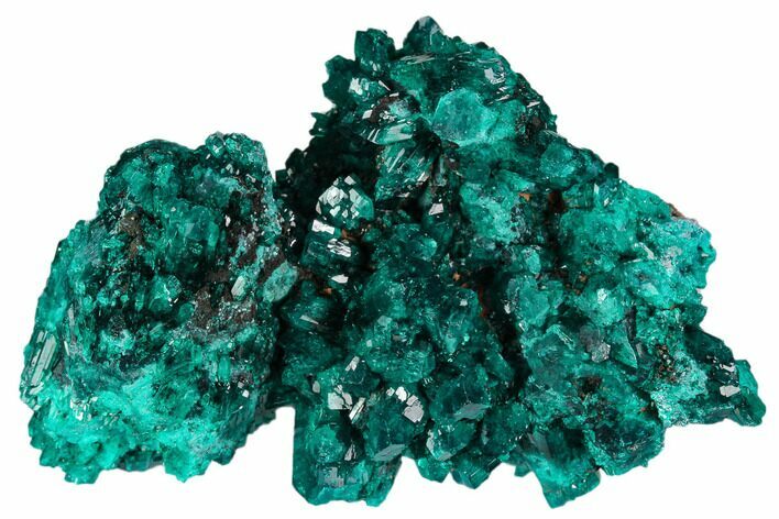 Gorgeous, Gemmy Dioptase Crystal Cluster - Congo #129546